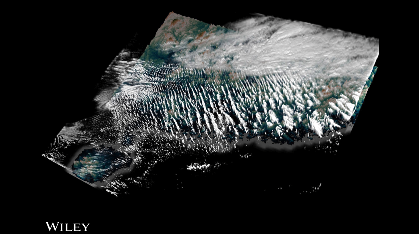 placeholder image 3
